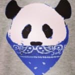 Tanner Conrad - @pandasfolife - Instagram