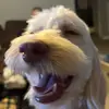 Tanner Cornwell - @tanner2308 - TikTok