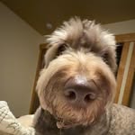 Tanner Cornwell - @tanner_cornwell2345 - Instagram