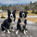 Tanner Rocko - @tanner_costa5 - Instagram