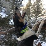 Tanner Costello - @tanner_costello - Instagram