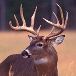 Extreme Outdoors - @tanner_coyle - Instagram