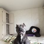 Tanner - @tannercundiff - Instagram