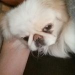 Tanner Daugherty - @thetanman78 - Instagram