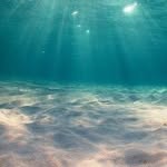 Tanner Dawson - @oceanphotography678_ - Instagram