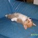 Tanner Downey - Facebook
