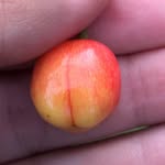 Tanner Downing - @tanner_downing42069 - Instagram