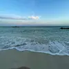 Tanner Downing - @tanner_friends.only - TikTok