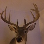 Tanner Duncan - @tannerduncan - Instagram