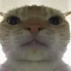 Tanner Eberle - @swagmoney6973 - TikTok