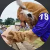 echols - @echols_0 - TikTok