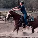 Tanner - @tannerervin53 - Instagram