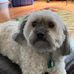 Tanner Evans - Facebook