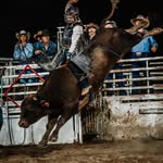 Tanner Finley - @brn2spr1 - Instagram