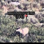 Tanner Hall - @dhallsoutfitting86 - Instagram