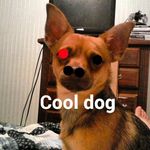tanner.franks - @soccer13425 - Instagram