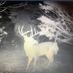 Tanner Gray - @back.woodsboysoutdoors - Instagram