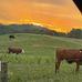 Tanner Harmon - Facebook