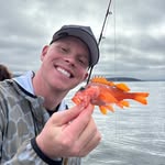 Tanner Herman - @hermanator34 - Instagram