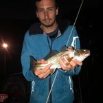 Tanner Higgins - @tanner.higgins.54 - Instagram