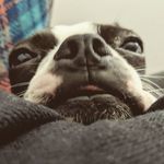 Tanner Hill - @__tanner_hill__ - Instagram