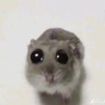 Tanner Hite - @tannerhite_ - Instagram