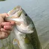 tannerhite746 - @tannerhite746 - TikTok
