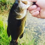 Tanner Howell - @tanner_howell22 - Instagram
