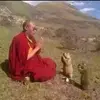Tanner_Johnston - @frildomildo - TikTok