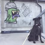 Tanner - @tanner.joyce.gj0g - Instagram