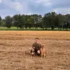 Tanner_Jumper - @tjumper33 - TikTok