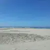tannerkarp503 - @tannerkarp503 - TikTok