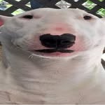 Tanner - @tannerkeeling07 - Instagram