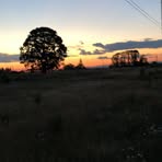 Tanner Keene - Facebook
