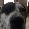 Tanner Koenig - @tannerkoenig4242 - TikTok