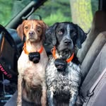 Tanner Krewson - @t.e.krewson - Instagram
