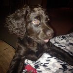 Tanner ladd - @tanimal702 - Instagram
