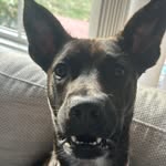 @tannerladd - Instagram