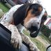Tanner Lang - Facebook