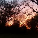 Tanner Langston - @tanner_langstn - Instagram
