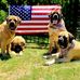 Turner Lawson - Facebook