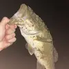 Tanner Marion - @tanner.marion5 - TikTok