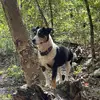 tanner_mason14 - @tanner_mason14 - TikTok