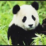 Tanner mason - @tannermason16 - Instagram