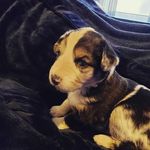 Tanner Mason - @tannermason8 - Instagram