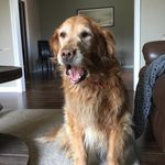 Tanner Master - @mastertanner - Instagram