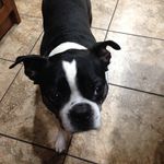 Tanner Mccormick - @tannerjmccormick - Instagram