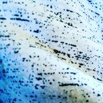 natjan tanner mcCoy - @nathan_mccoy1_ - Instagram