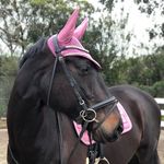 Tanner McCurdy - @tannerequestrian - Instagram