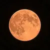 TannerMcdowell - @elinijsd5ti - TikTok